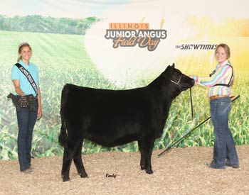 Bred-and-owned Reserve Senior Heifer Calf Champion