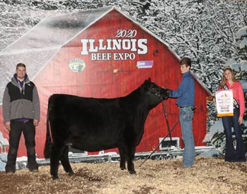 Reserve Grand Champion Production Female