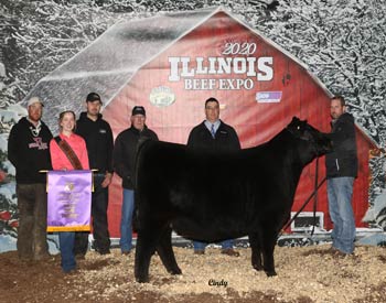 Grand Champion Female