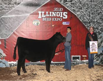 Reserve Grand Champion Open Female