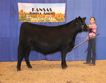 Owned Senior Champion Female