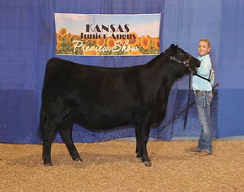 Bred-and-owned Reserve Senior Champion Female