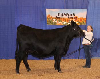 Owned Reserve Senior Champion Female