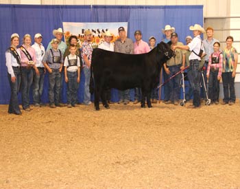 Grand Champion Owned Female