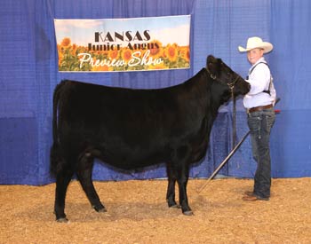 Bred-and-owned Summer Heifer Calf Champion