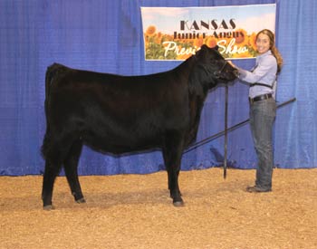Bred-and-owned Reserve Summer Heifer Calf Champion