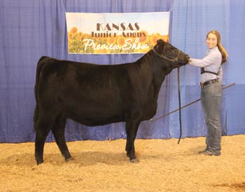Owned Reserve Late Junior Champion Heifer