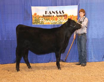Bred-and-owned Junior Champion Heifer