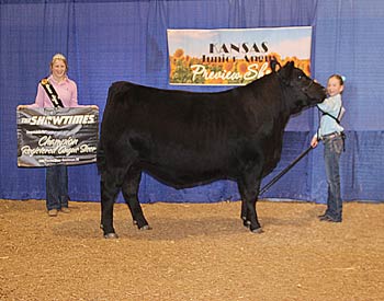 Grand Champion Steer