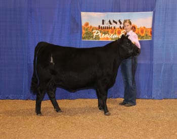 Bred-and-owned Reserve Junior Champion Heifer