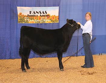 Owned Fall Heifer Calf Champion