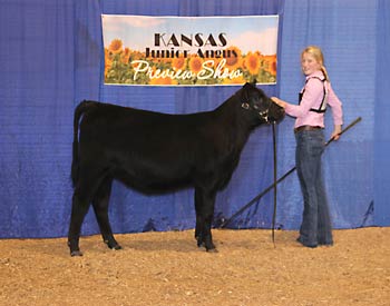 Bred-and-owned Reserve Fall Heifer Calf Champion