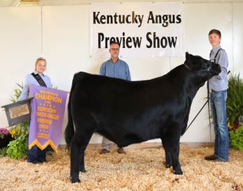 Reserve Grand Champion Steer