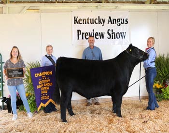 Grand Champion Steer