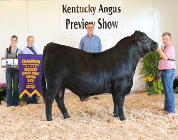 Grand Champion Bred-and-owned Bull