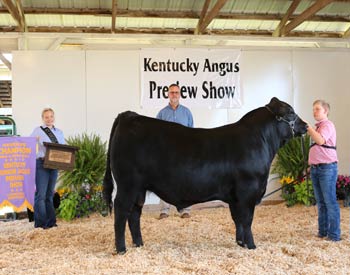 Reserve Grand Champion Bred-and-owned Bull