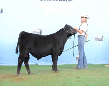 Reserve Junior Bull Calf Champion