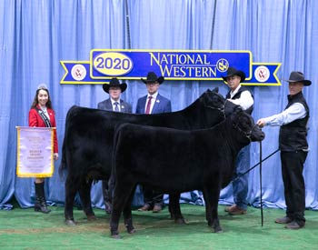 Reserve Grand Champion Cow-calf Pair