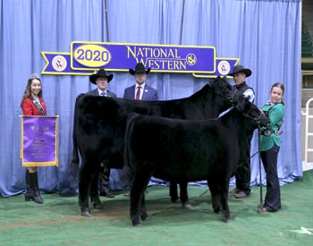 Grand Champion Cow-calf Pair