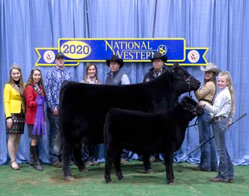 Senior Champion Female