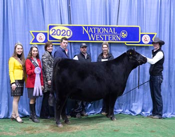 Reserve Late Junior Champion Heifer
