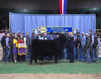 Grand Champion Female