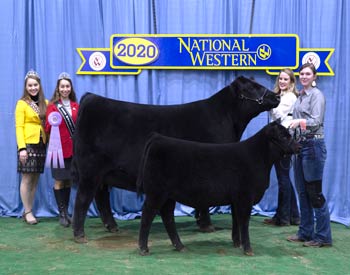 Reserve Senior Champion Female