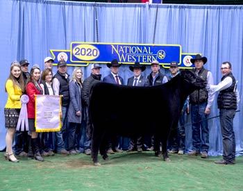 Reserve Grand Champion Female