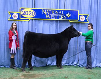 Reserve Senior Heifer Calf Champion