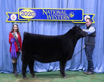 Senior Heifer Calf Champion
