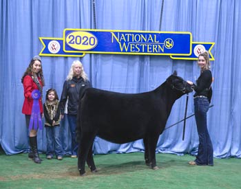 Late Spring Heifer Calf Champion