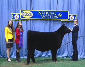 Early Spring Heifer Calf Champion