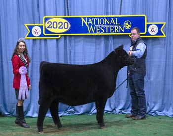 Reserve Early Spring Heifer Calf Champion
