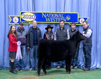 Reserve Late Spring Heifer Calf Champion