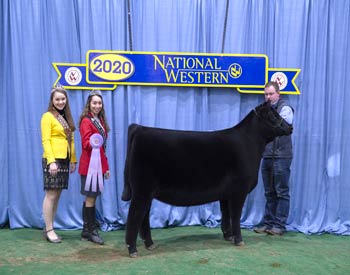 Reserve Early Winter Heifer Calf Champion