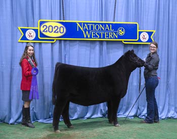 Late Winter Heifer Calf Champion