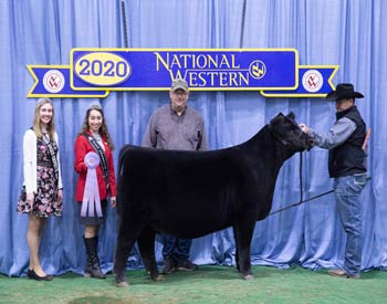 Reserve Late Winter Heifer Calf Champion