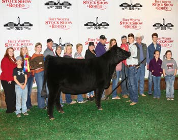 Owned Intermediate Champion Heifer