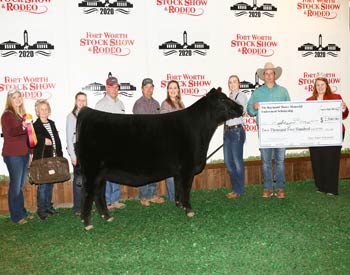Owned Reserve Junior Champion Heifer