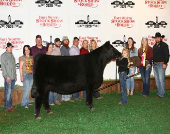 Owned Reserve Intermediate Champion Heifer