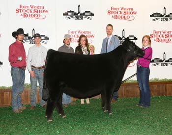 Grand Champion Owned Female