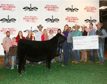 Owned Reserve Senior Heifer Calf Champion