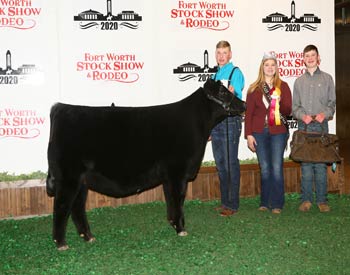 Owned Reserve Junior Heifer Calf Champion