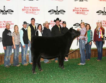 Owned Summer Heifer Calf Champion