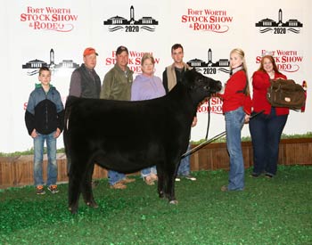 Owned Reserve Summer Heifer Calf Champion