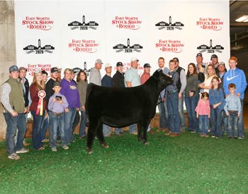 Reserve Grand Champion Owned Female