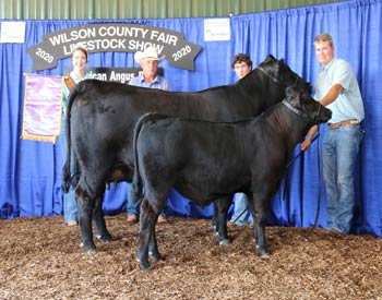 Grand Champion Cow-calf Pair