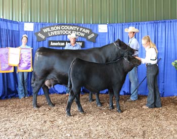 Grand Champion Cow-calf Pair