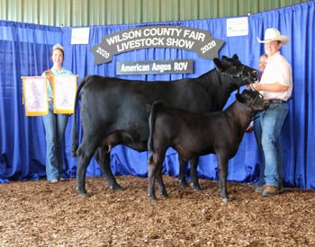 Reserve Grand Champion Cow-calf Pair