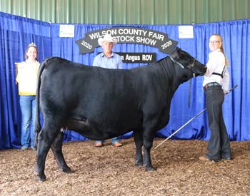 Reserve Grand Champion Bred-and-owned Female